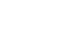 BNP Paribas Logo